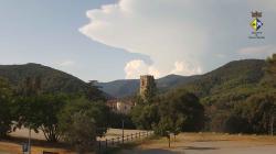 Webcams