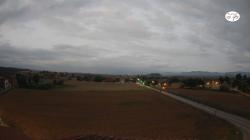 Webcams