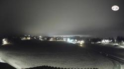Webcams