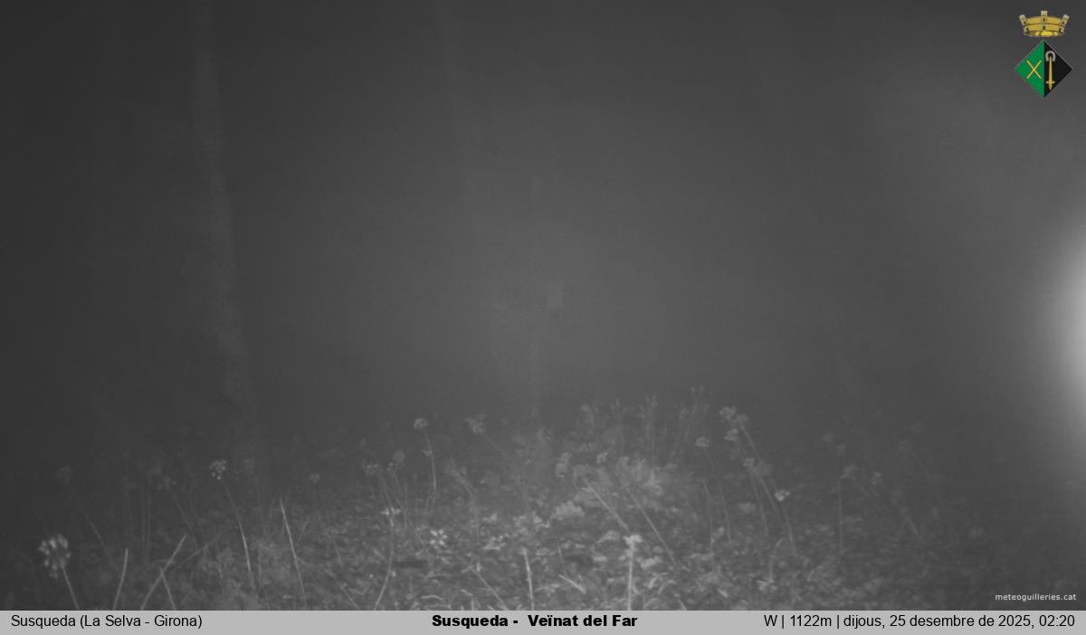 Susqueda -  Veïnat del Far