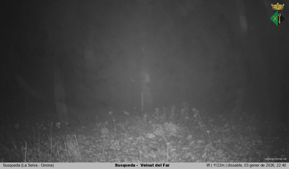 Susqueda -  Veïnat del Far