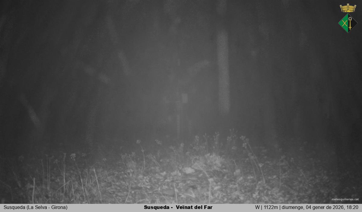 Susqueda -  Veïnat del Far