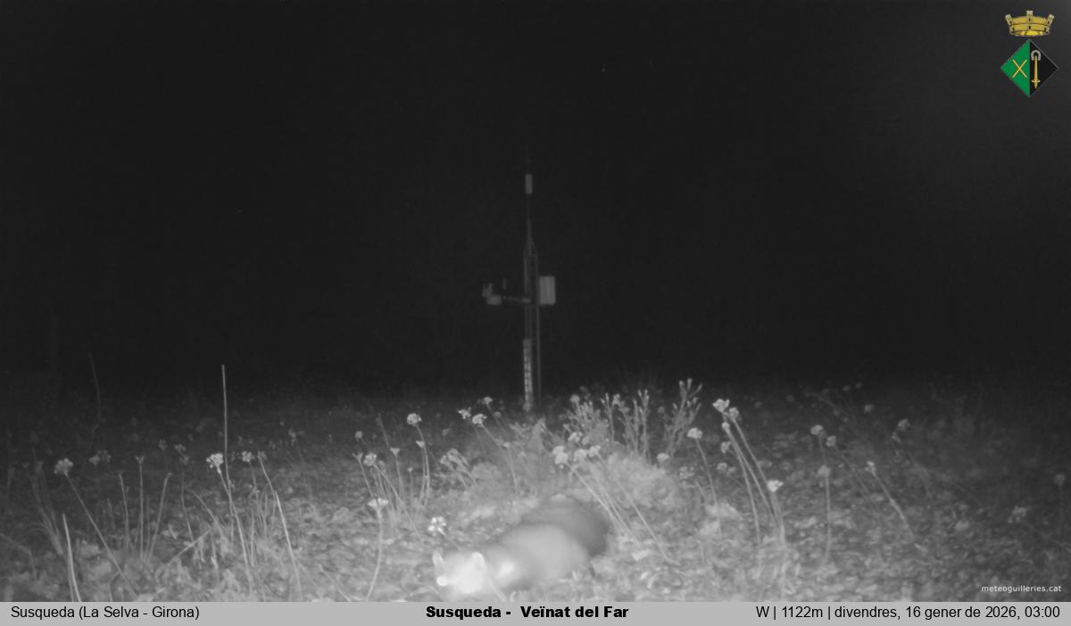 Susqueda -  Veïnat del Far