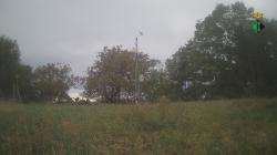 Webcams