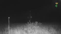 Webcams