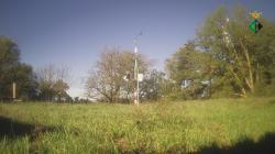 Webcams