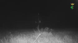 Webcams