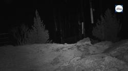 Webcams