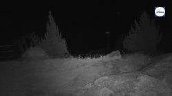 Webcams