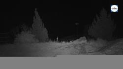 Webcams