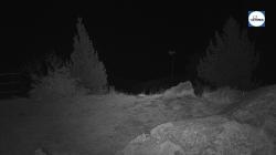 Webcams