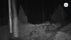 Webcams