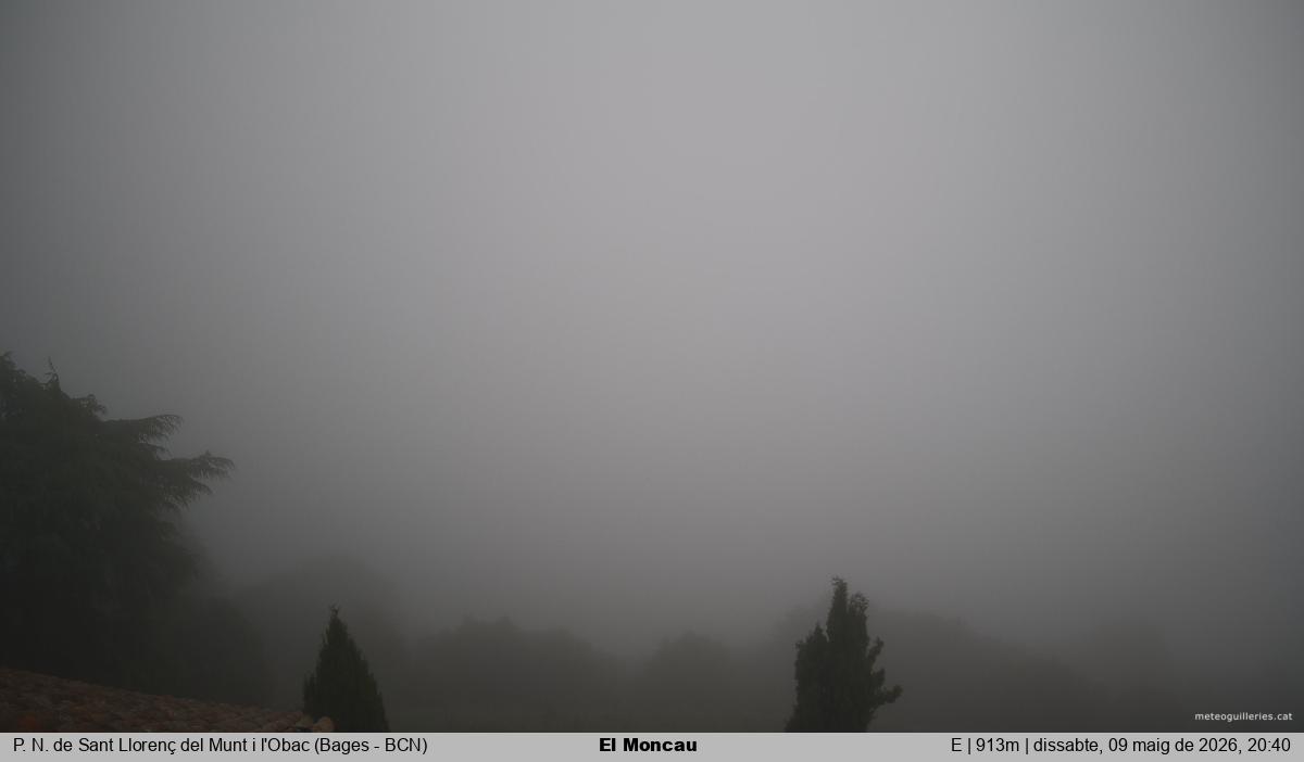 El Moncau