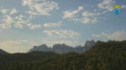 Webcams