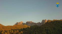Webcams
