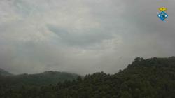 Webcams