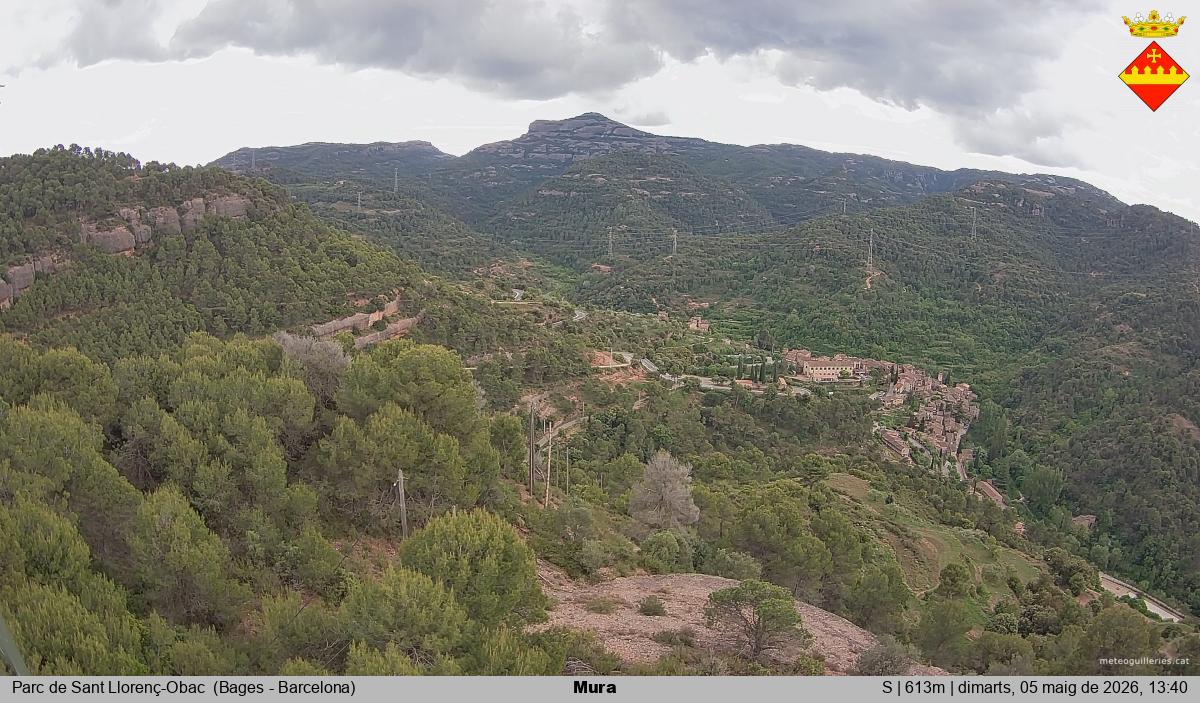 Mura 