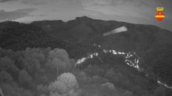 Webcams