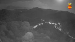 Webcams
