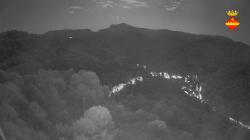 Webcams