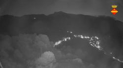 Webcams