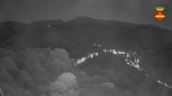 Webcams
