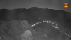 Webcams