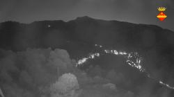 Webcams