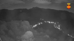 Webcams
