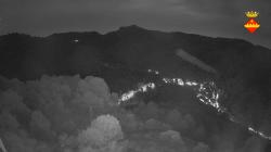 Webcams