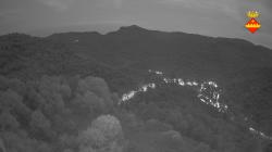Webcams