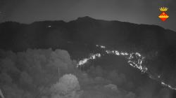 Webcams