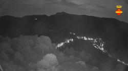 Webcams