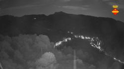 Webcams