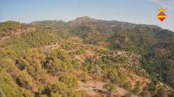 Webcams