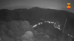 Webcams