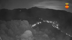Webcams