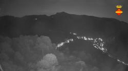 Webcams