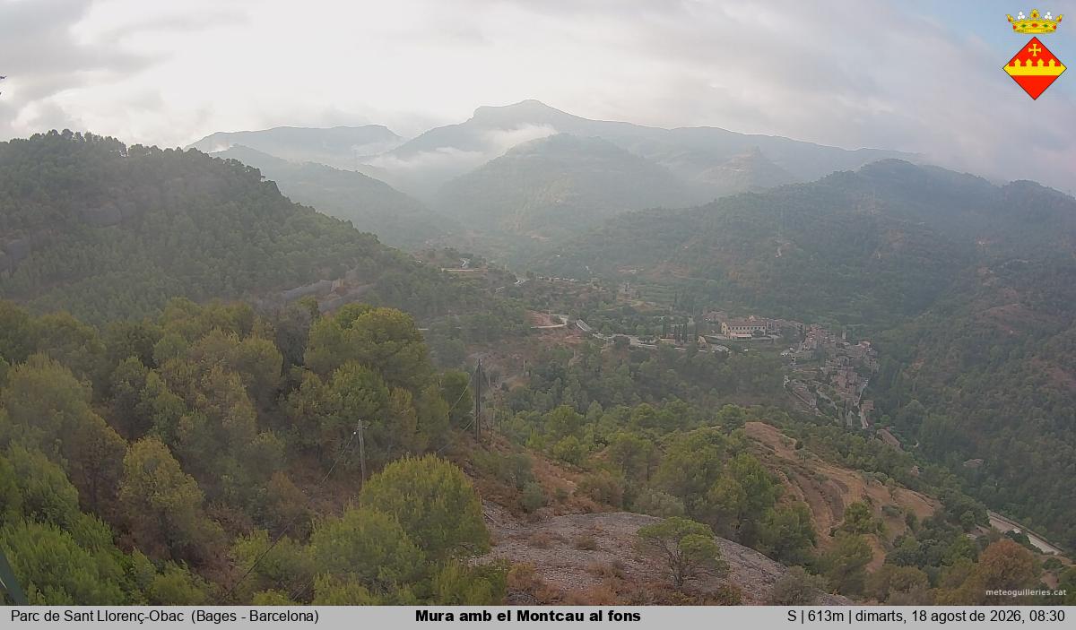 Mura amb el Montcau al fons