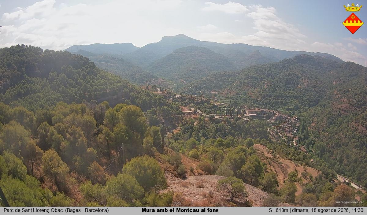 Mura amb el Montcau al fons