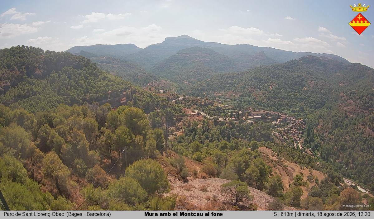 Mura amb el Montcau al fons