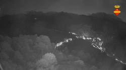 Webcams