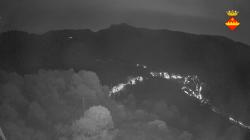 Webcams