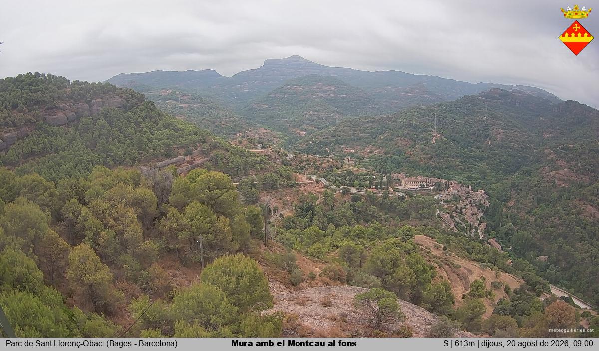 Mura amb el Montcau al fons