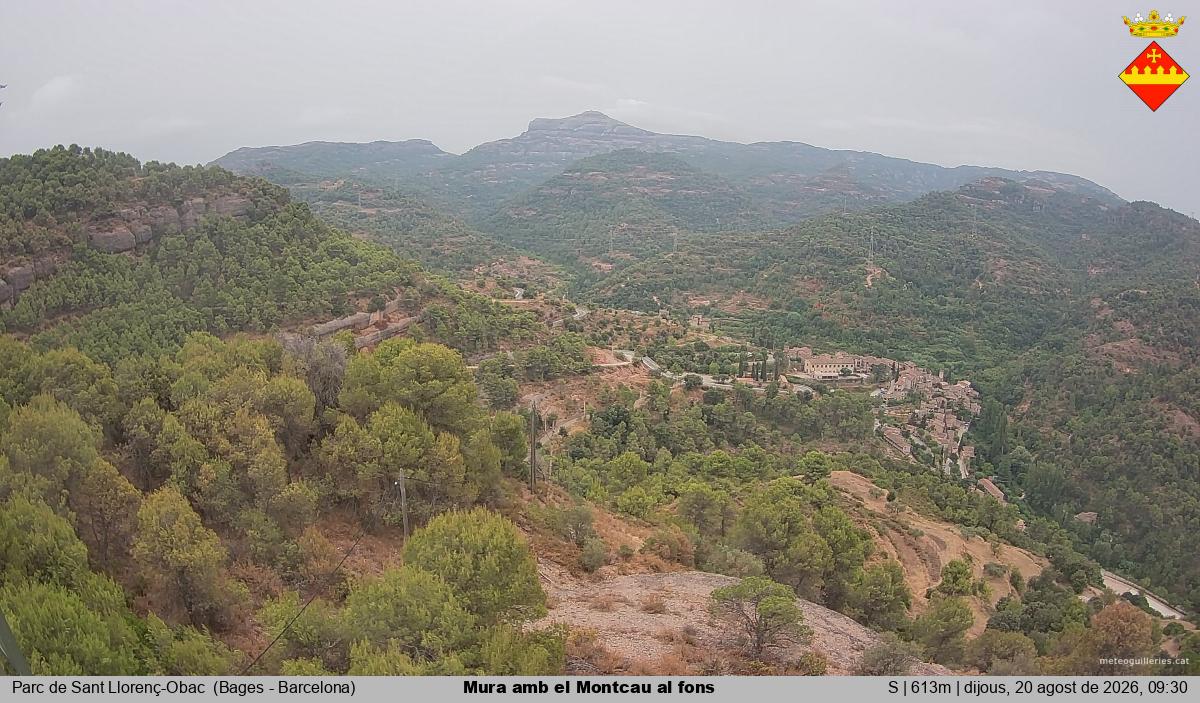 Mura amb el Montcau al fons