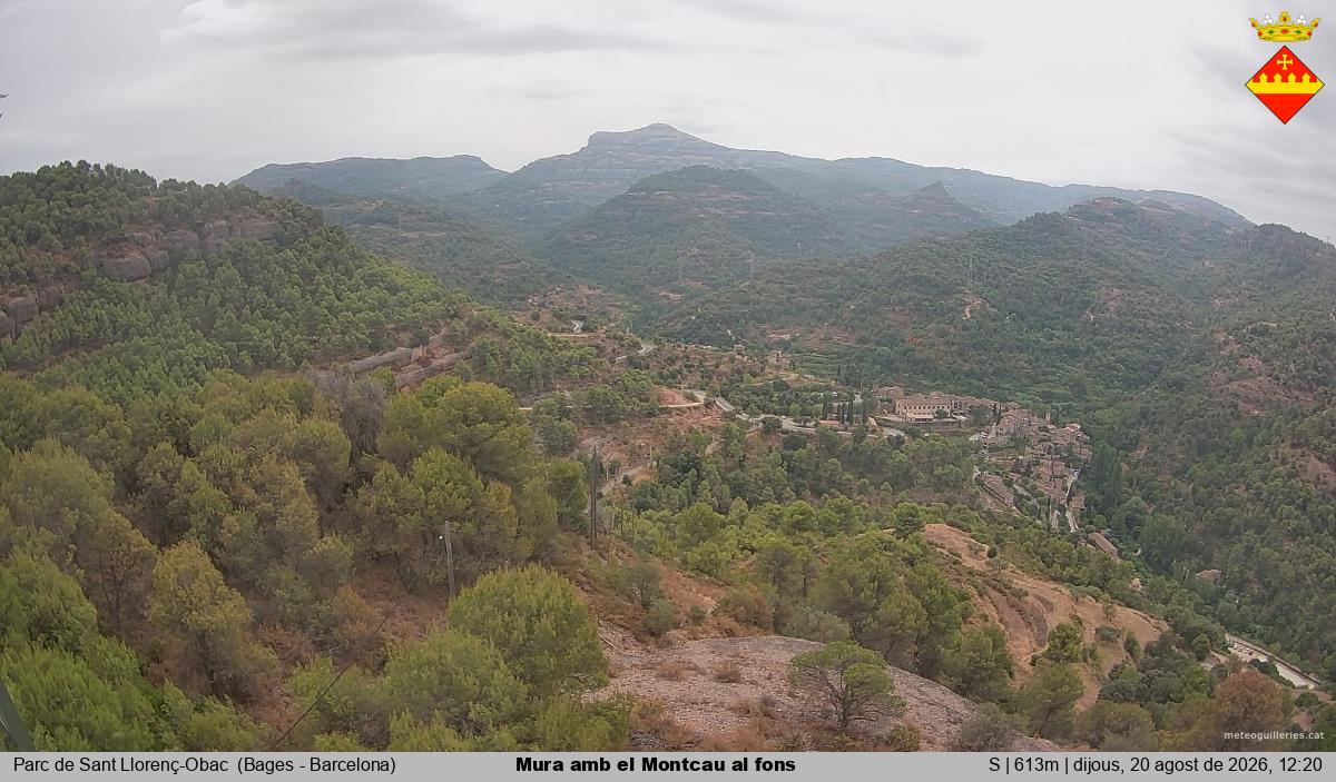 Mura amb el Montcau al fons