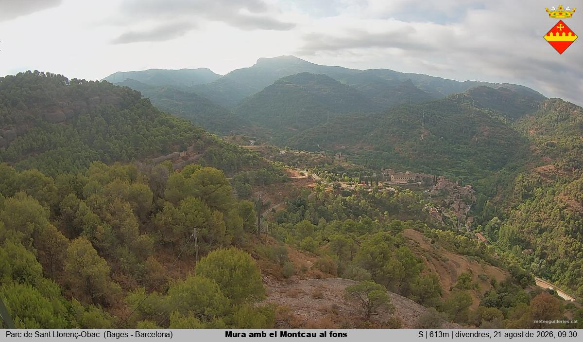 Mura amb el Montcau al fons