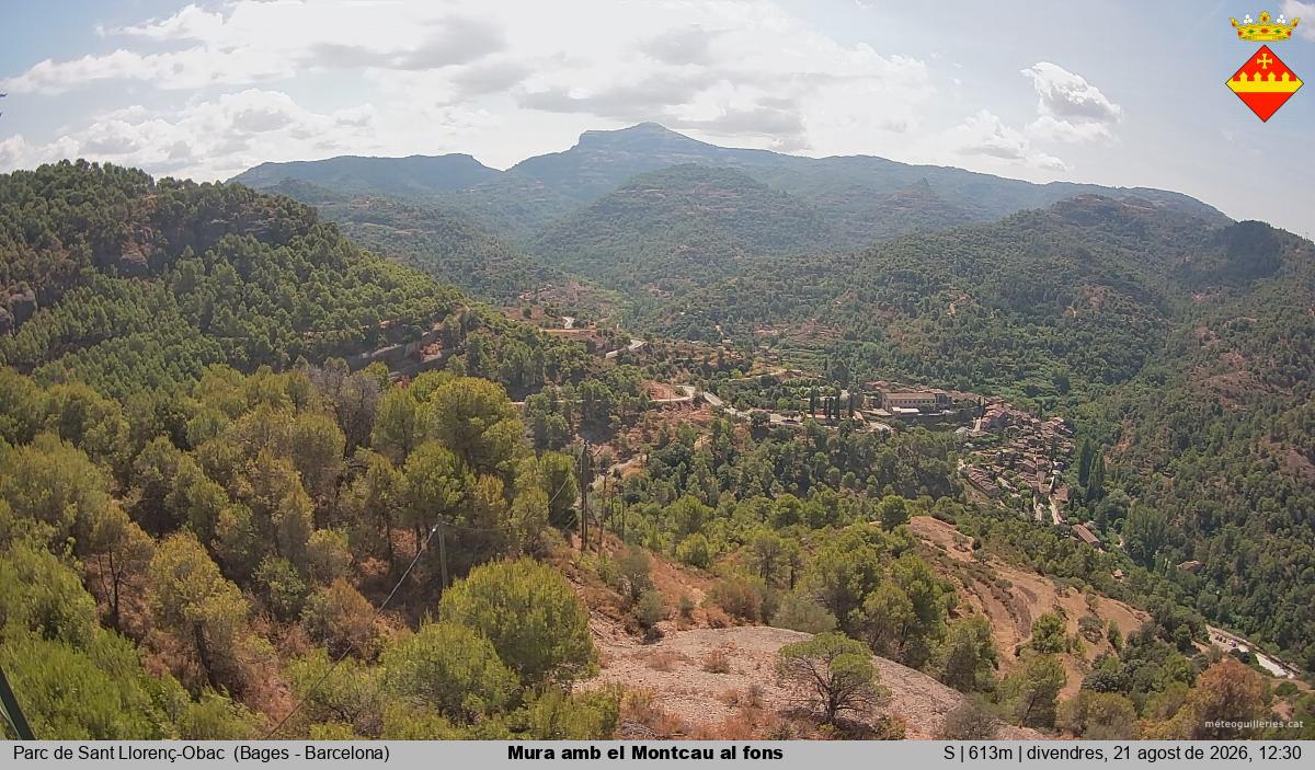 Mura amb el Montcau al fons