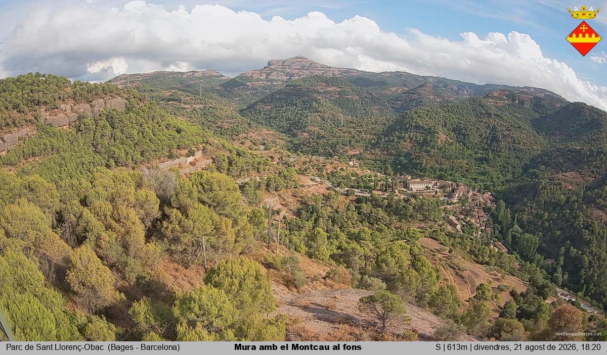 Mura amb el Montcau al fons