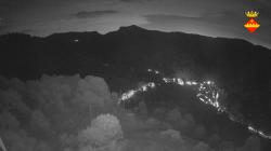 Webcams